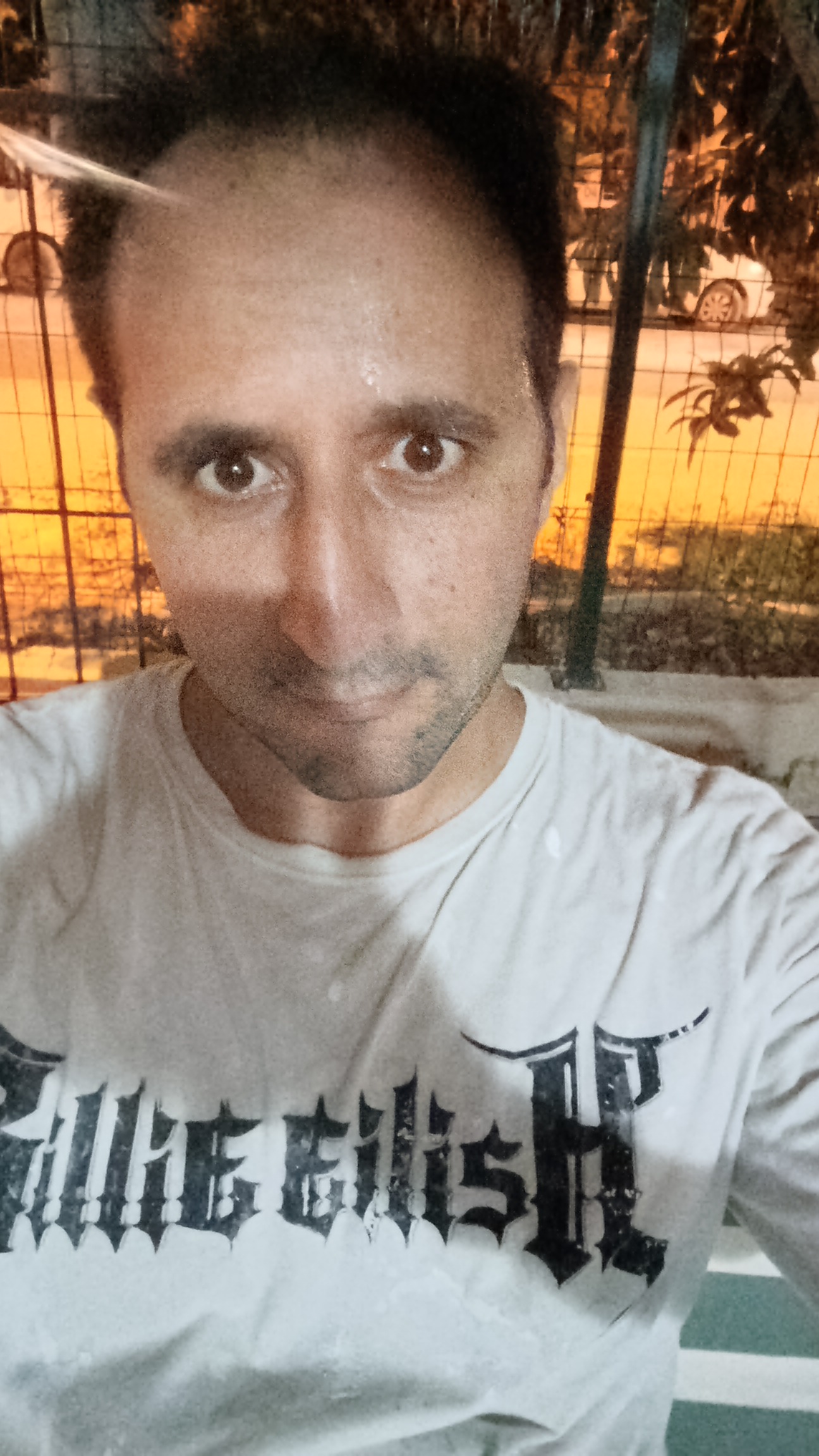 Bülent şahin